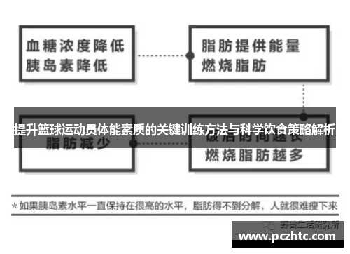 提升篮球运动员体能素质的关键训练方法与科学饮食策略解析