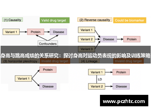 身高与跳高成绩的关系研究：探讨身高对运动员表现的影响及训练策略